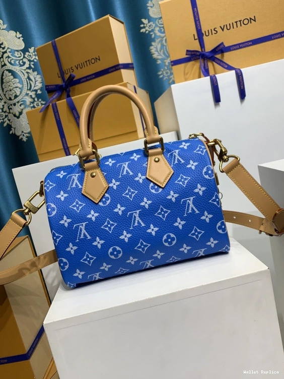 Affordable Vuitton 25 SPEEDY Louis 0810
